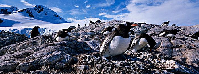 505发行新游《尼瓦利斯》延期 赛博朋克风生活模拟